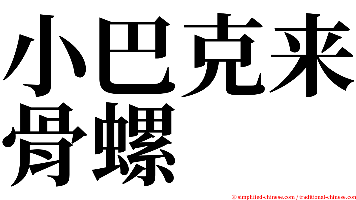 小巴克来骨螺 serif font