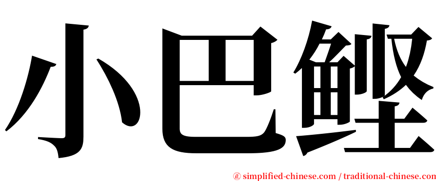 小巴鲣 serif font