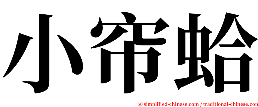 小帘蛤 serif font