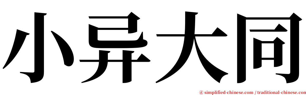 小异大同 serif font