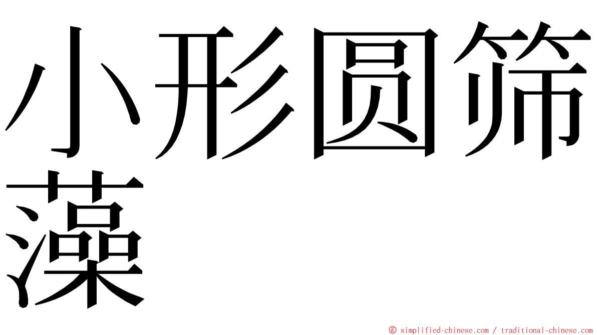 小形圆筛藻 ming font