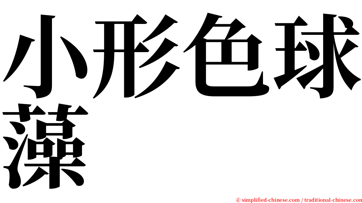 小形色球藻 serif font