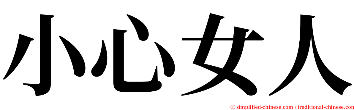 小心女人 serif font