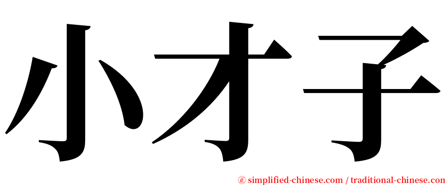 小才子 serif font