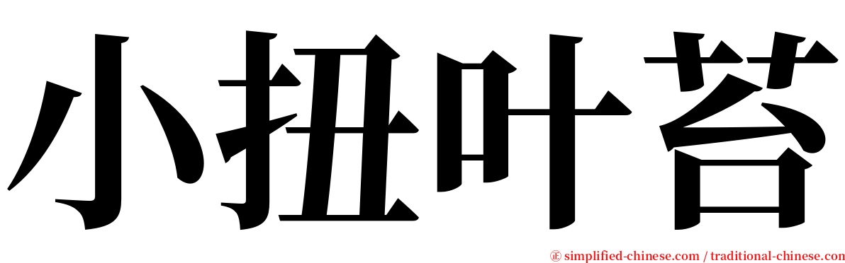 小扭叶苔 serif font