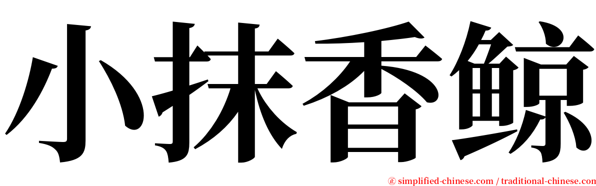 小抹香鲸 serif font