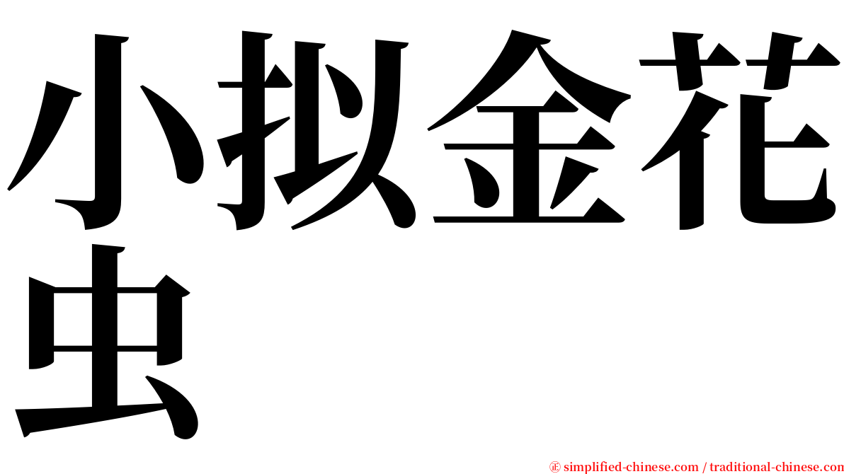 小拟金花虫 serif font