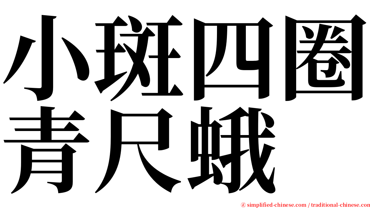 小斑四圈青尺蛾 serif font