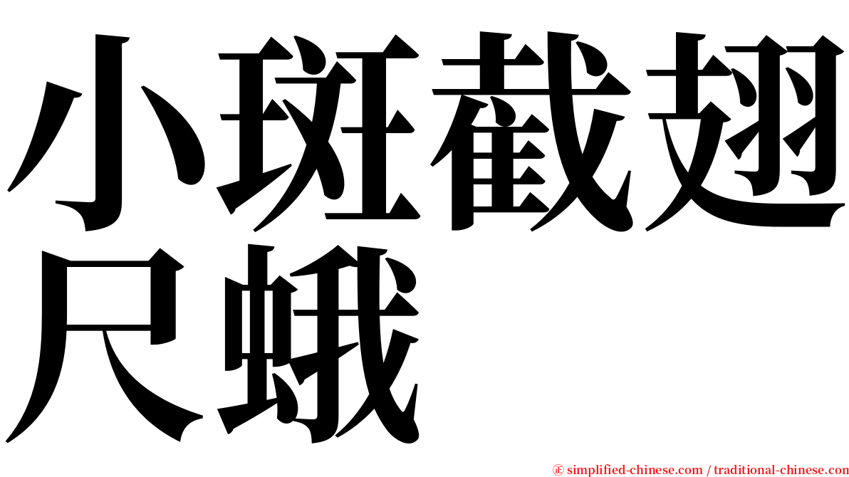 小斑截翅尺蛾 serif font