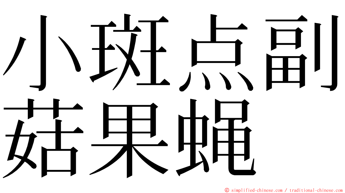 小斑点副菇果蝇 ming font