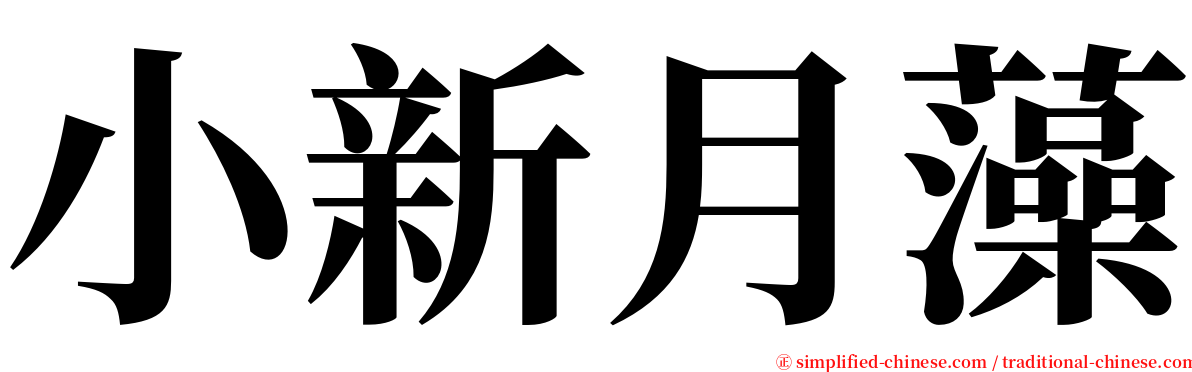 小新月藻 serif font