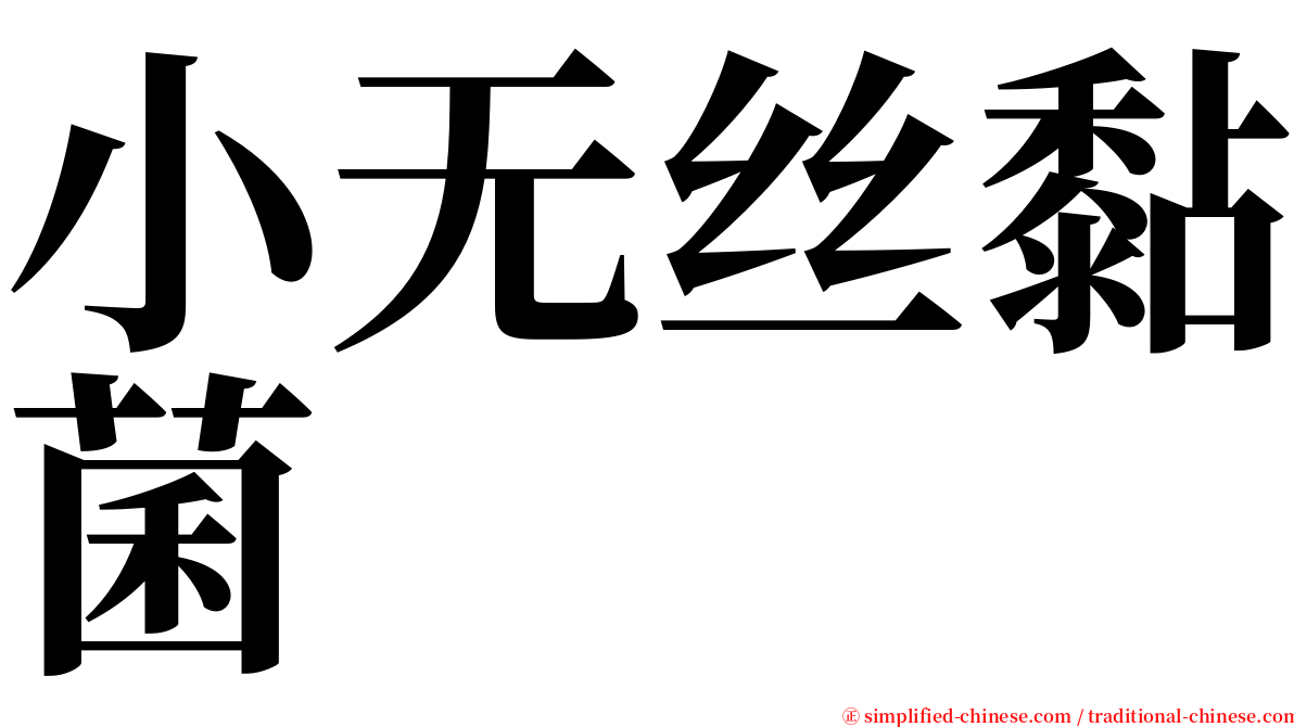 小无丝黏菌 serif font