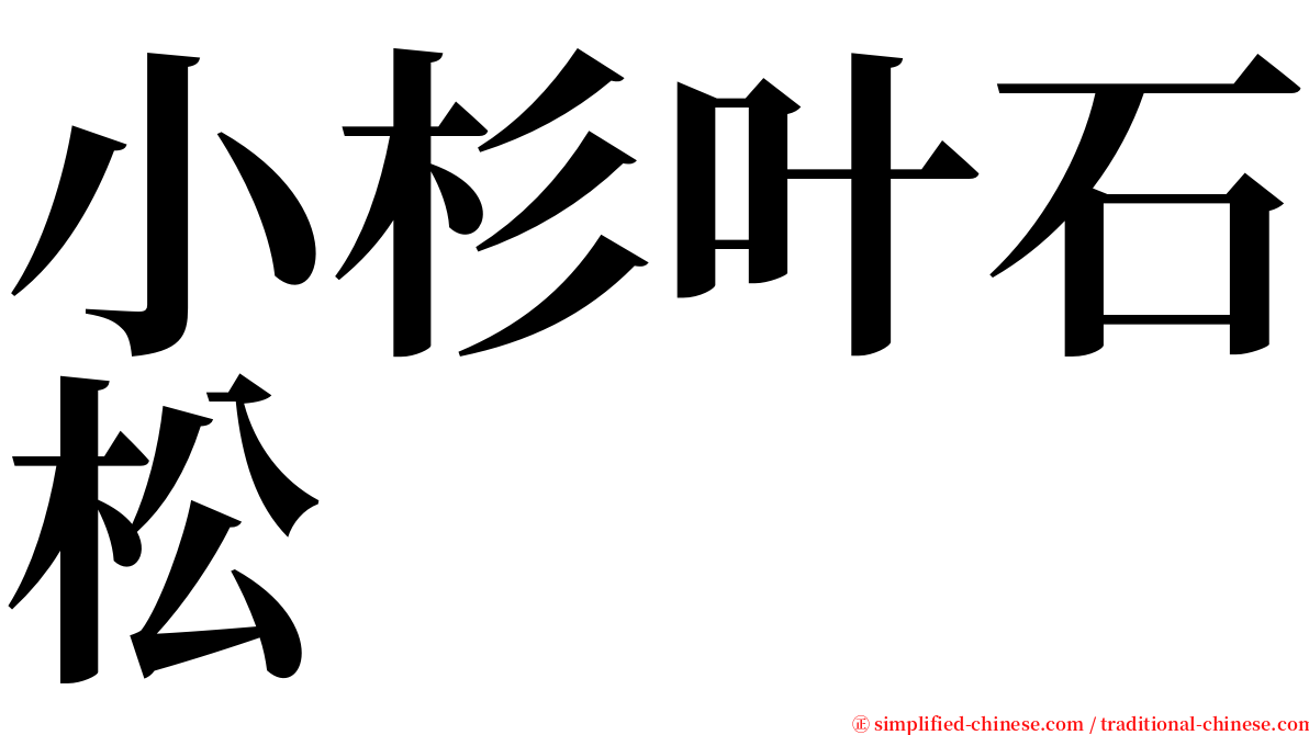 小杉叶石松 serif font