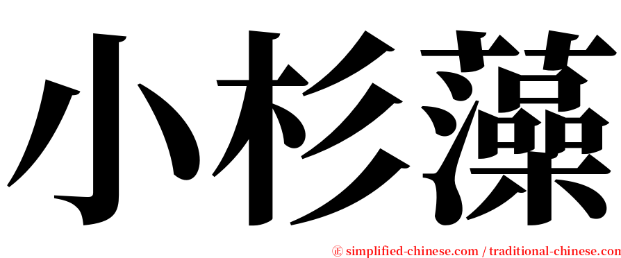 小杉藻 serif font