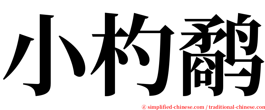 小杓鹬 serif font