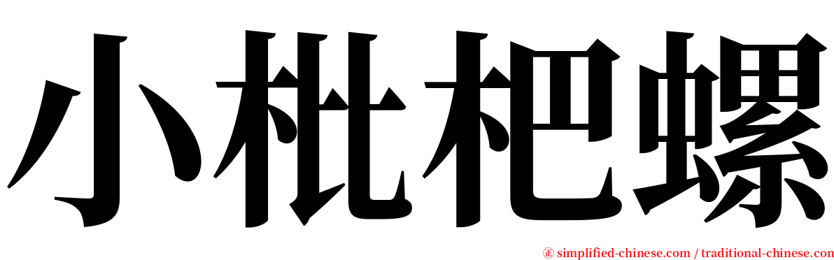 小枇杷螺 serif font