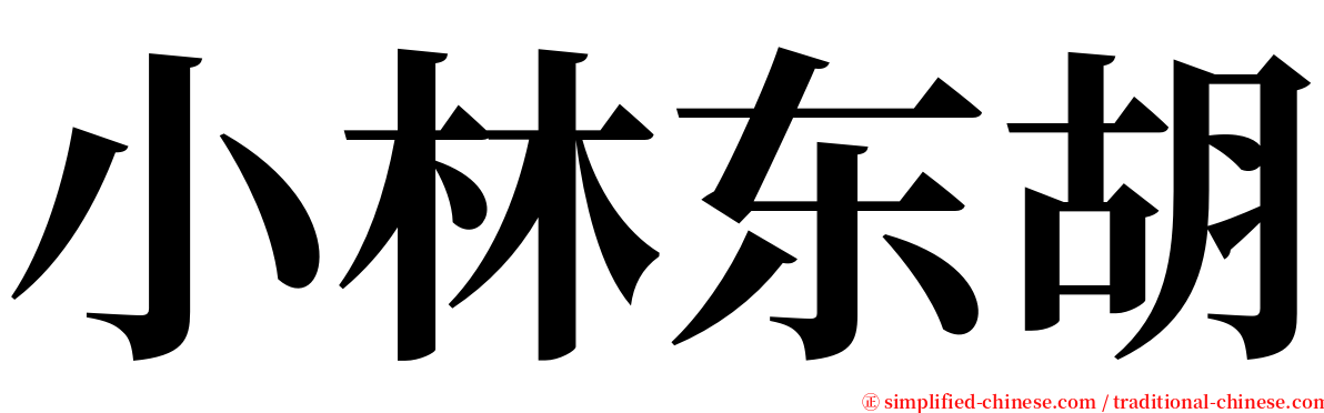 小林东胡 serif font