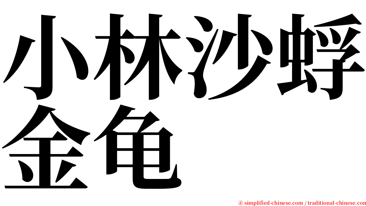 小林沙蜉金龟 serif font