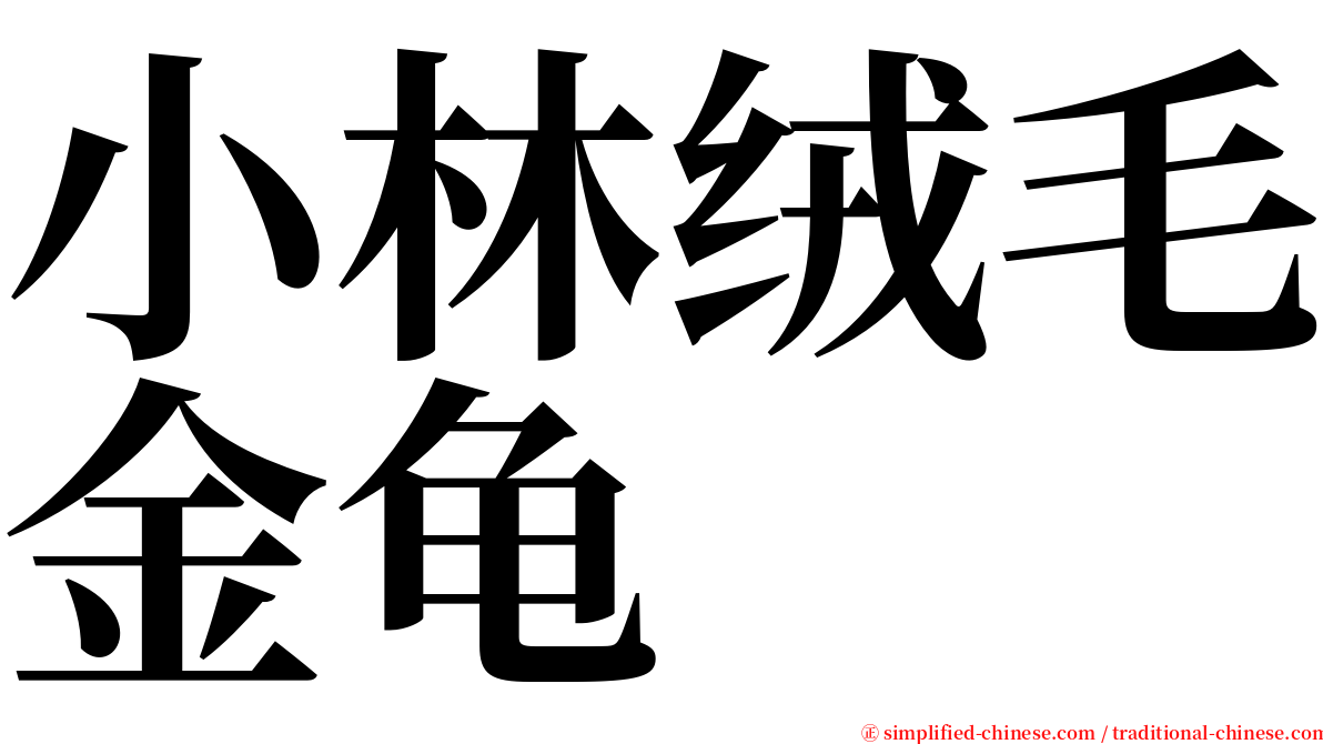 小林绒毛金龟 serif font