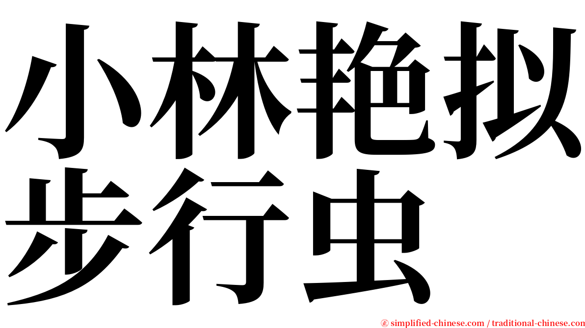 小林艳拟步行虫 serif font