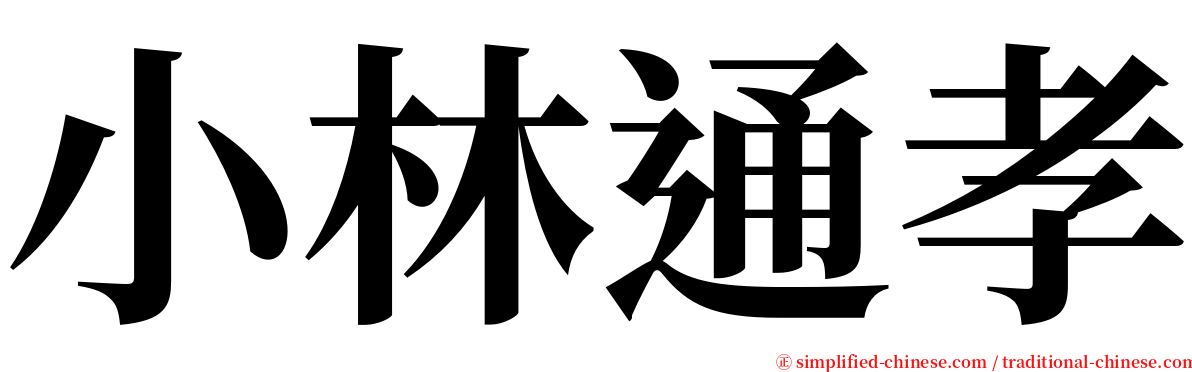 小林通孝 serif font