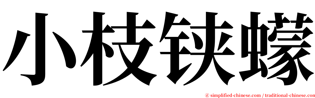 小枝铗蠓 serif font