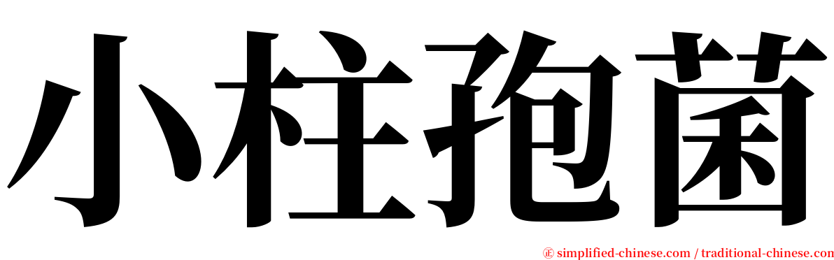 小柱孢菌 serif font