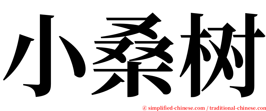 小桑树 serif font