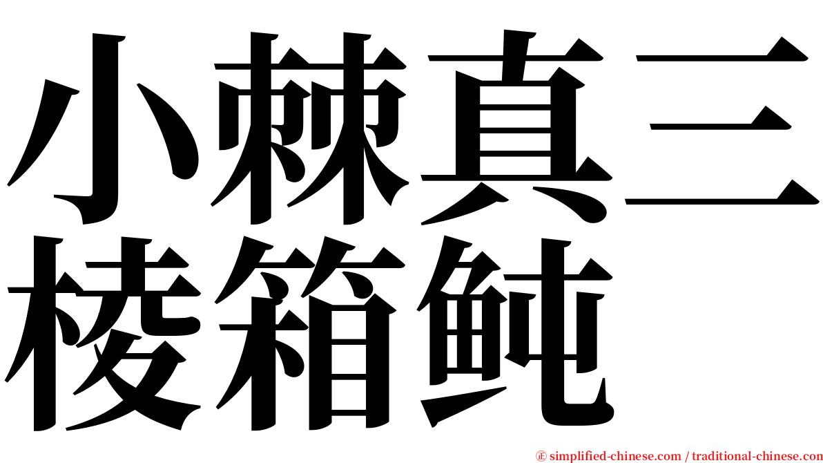 小棘真三棱箱鲀 serif font