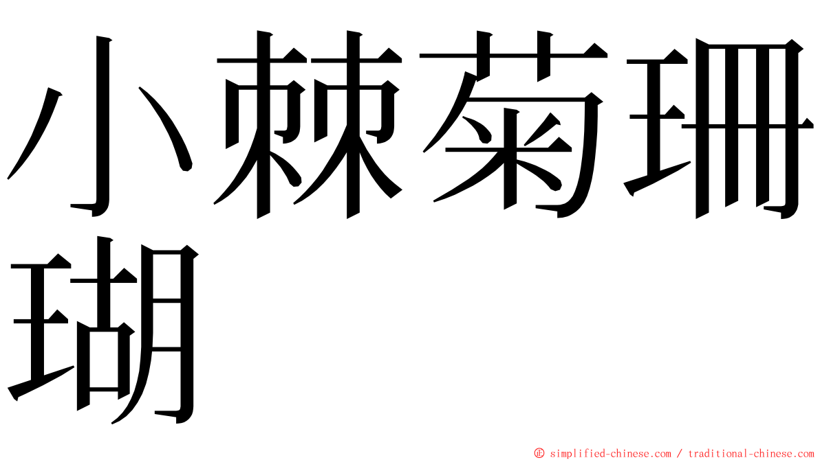 小棘菊珊瑚 ming font