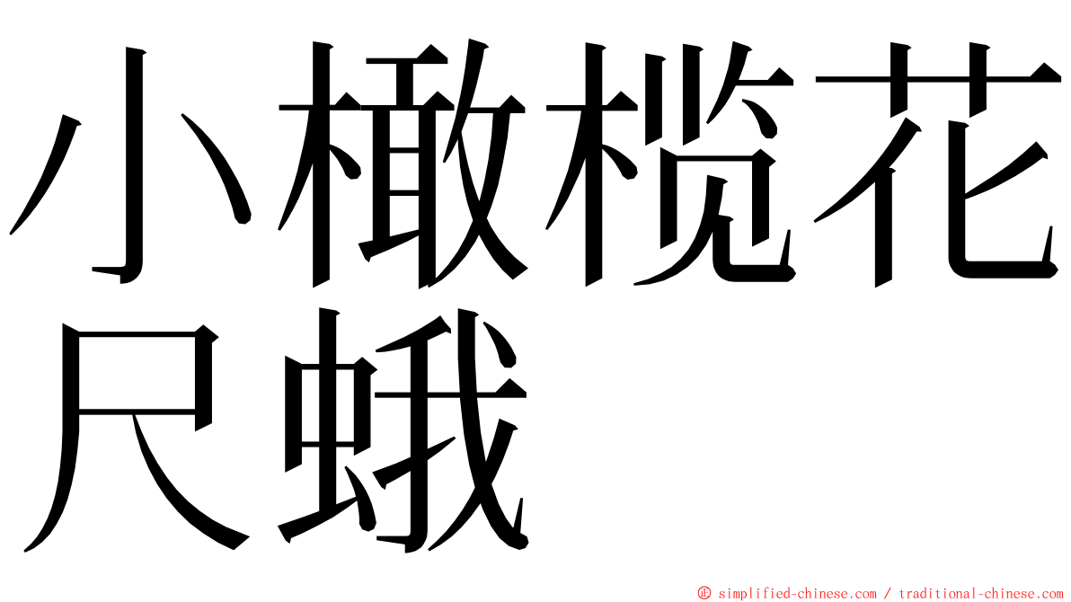 小橄榄花尺蛾 ming font