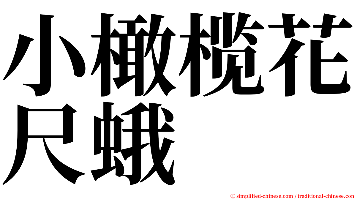 小橄榄花尺蛾 serif font