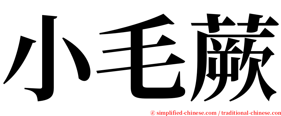 小毛蕨 serif font