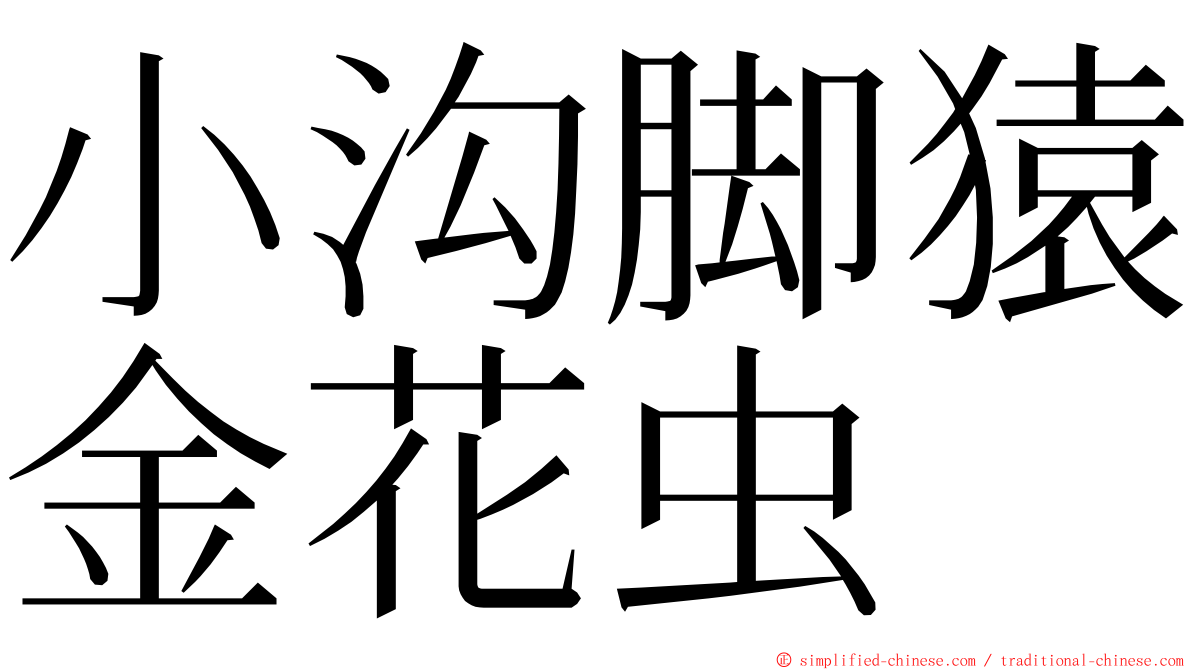 小沟脚猿金花虫 ming font