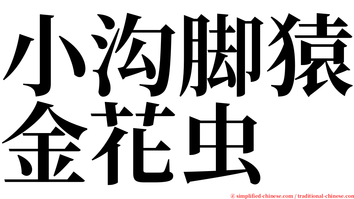 小沟脚猿金花虫 serif font