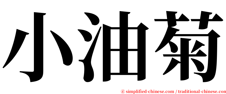 小油菊 serif font