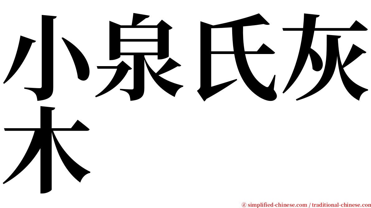 小泉氏灰木 serif font