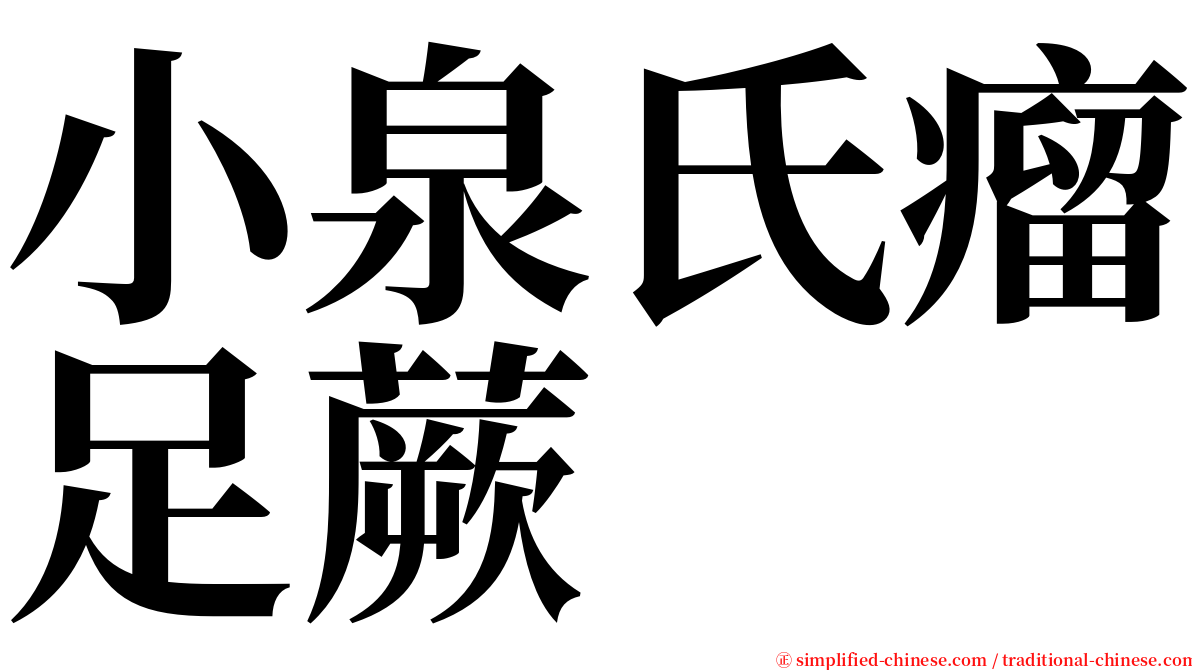 小泉氏瘤足蕨 serif font