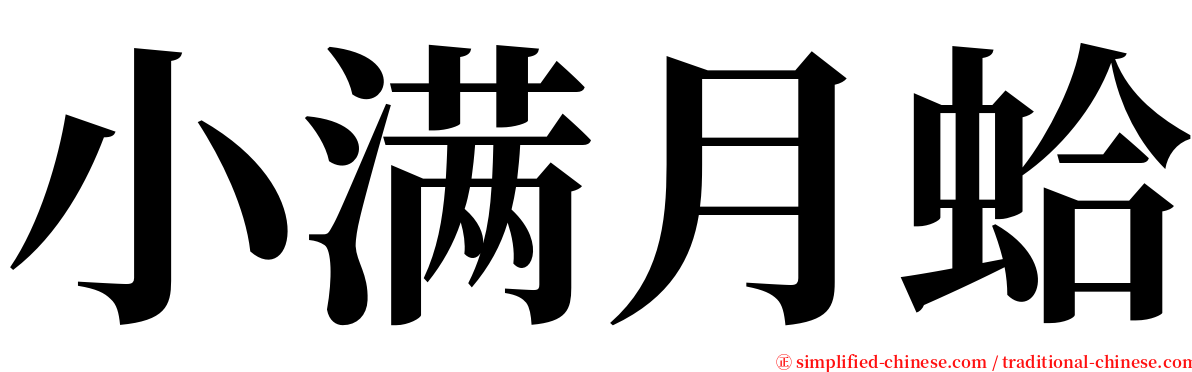 小满月蛤 serif font