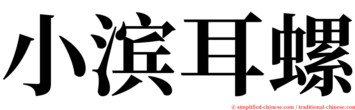 小滨耳螺 serif font