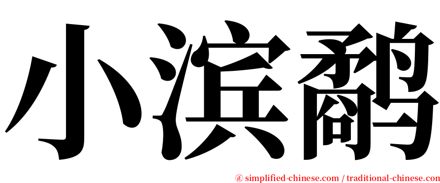 小滨鹬 serif font