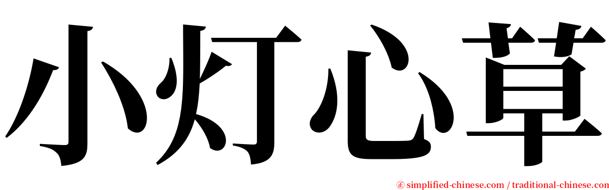 小灯心草 serif font