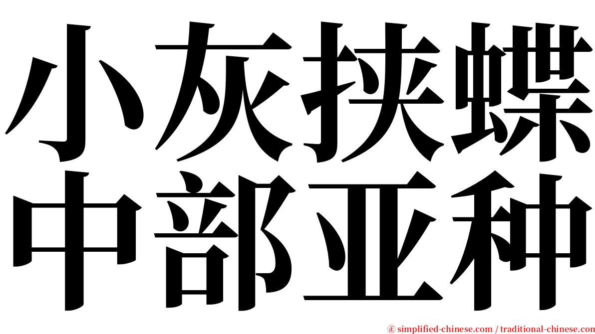 小灰挟蝶中部亚种 serif font