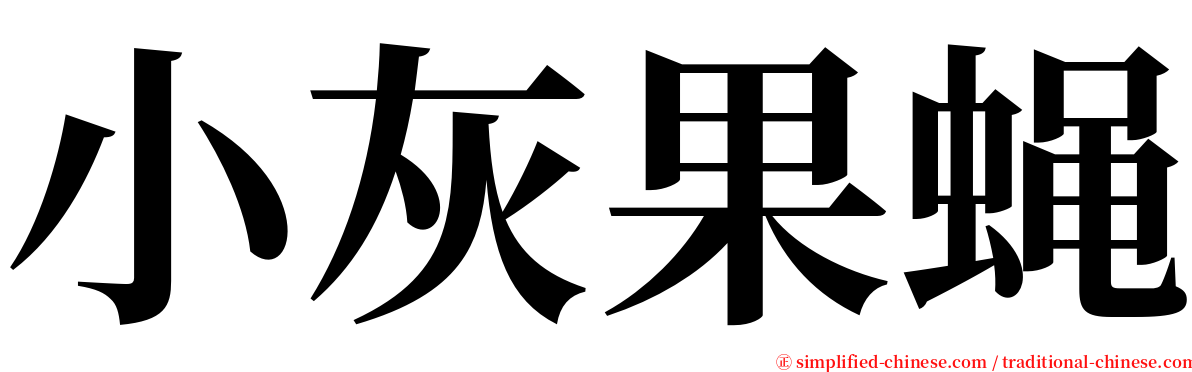 小灰果蝇 serif font