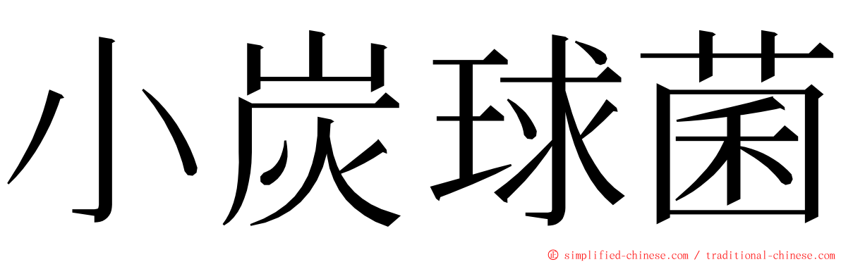 小炭球菌 ming font