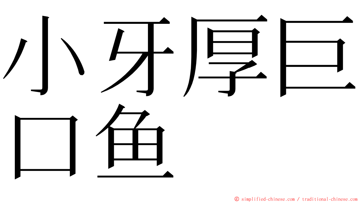 小牙厚巨口鱼 ming font