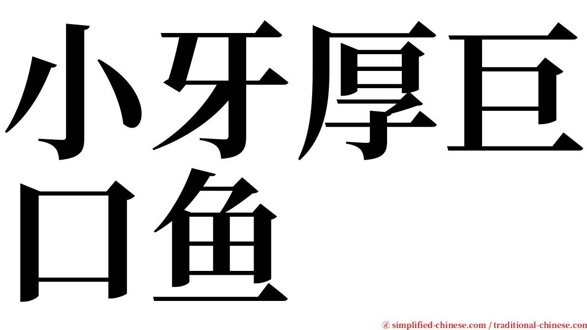 小牙厚巨口鱼 serif font