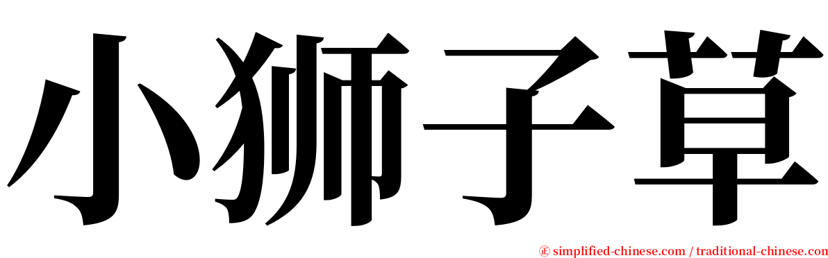 小狮子草 serif font