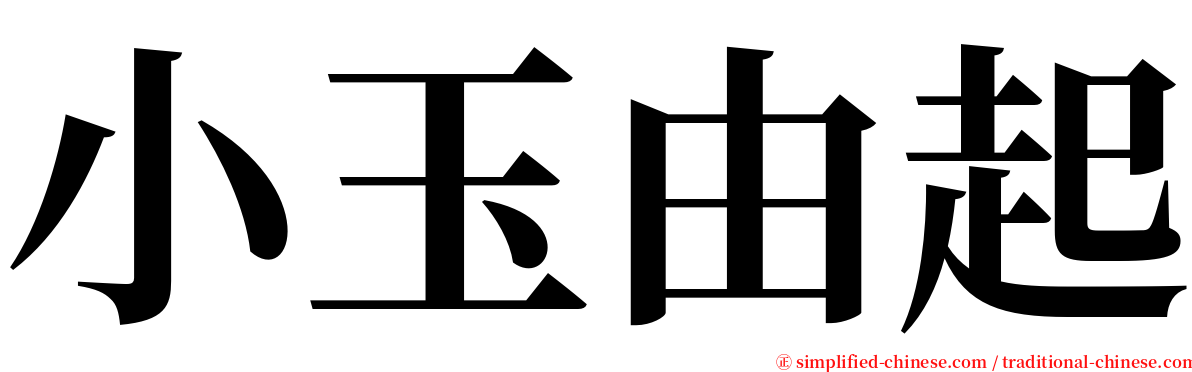 小玉由起 serif font