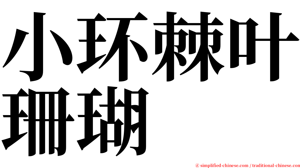 小环棘叶珊瑚 serif font